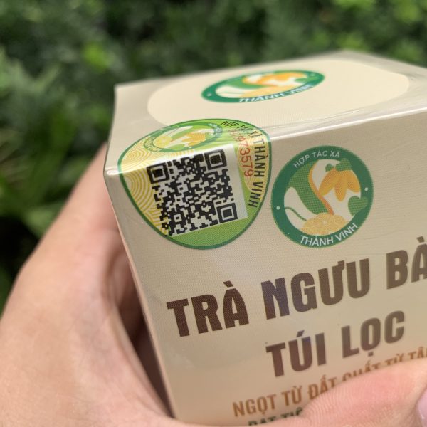 mua-tra-nguu-bang-gia-si