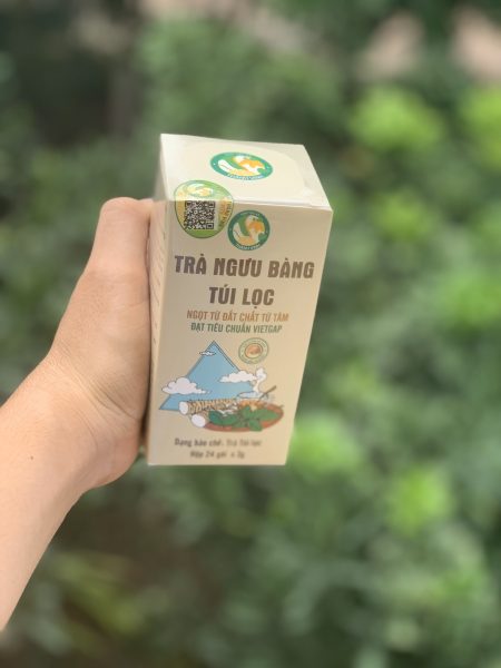 Trà túi lọc ngưu bàng