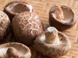 Nấm đông cô Việt Nam - Ảnh 2