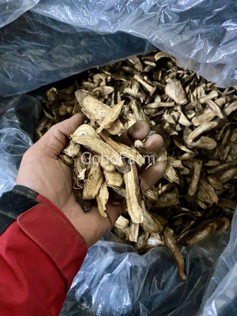Ngưu bàng khô là gì?