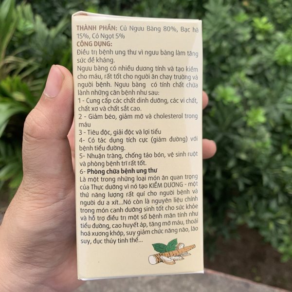 2 Hộp Trà Ngưu Bàng Túi Lọc - Ảnh 9