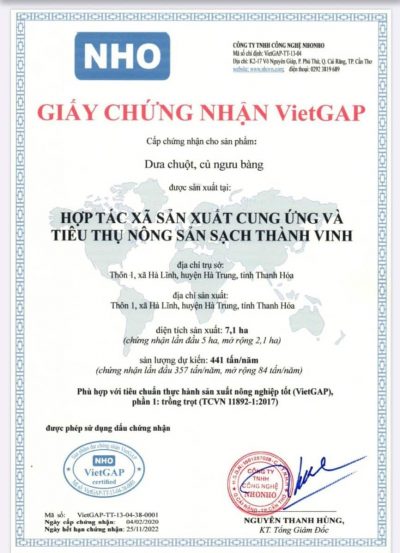 Vietgap-hop tac xa THANH VINH