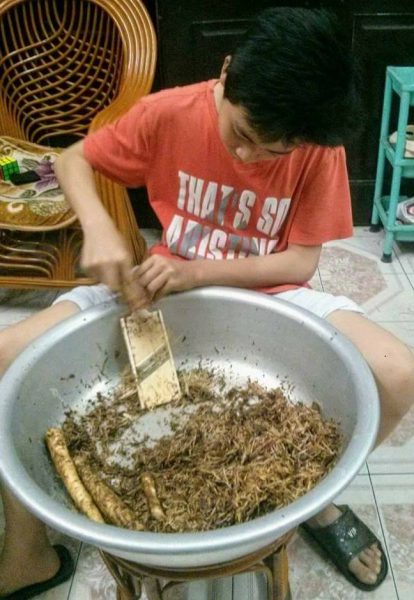 làm-ruốc-ngưu-bàng