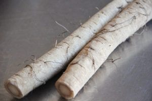 nguu-bang-gobo-burdock