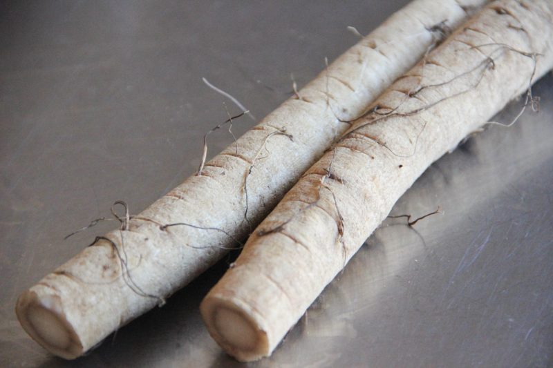 nguu-bang-gobo-burdock