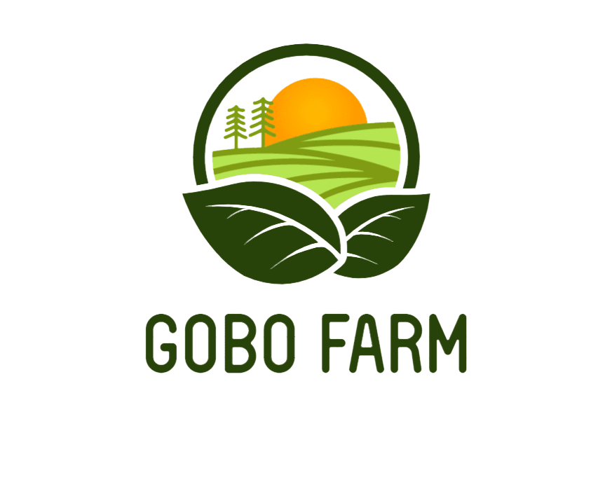GOBO FARM nguu bang