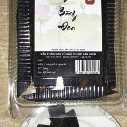 ngưu-bàng-lên-men