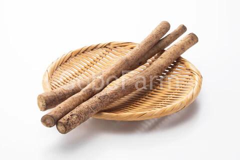 Củ ngưu bàng tươi dùng để nấu canh dưỡng sinh